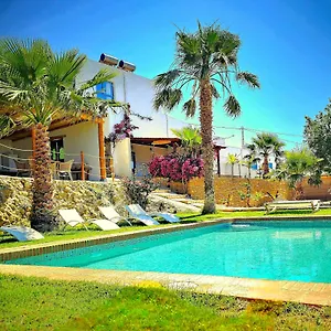 book here